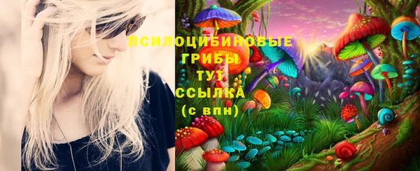 мдма Белокуриха